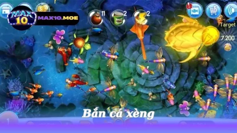 ban-ca-xeng